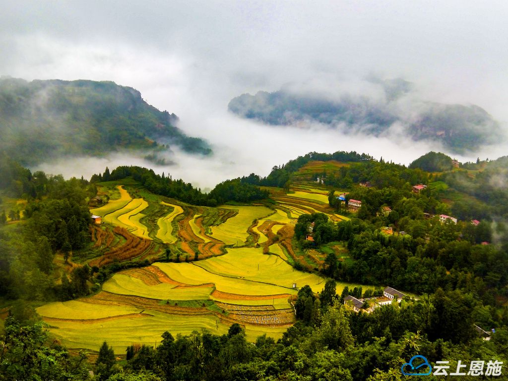 利川云雾山水图片