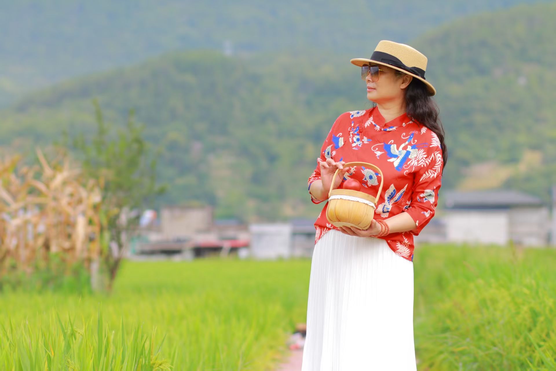 建始三里：稻田美景入画来
