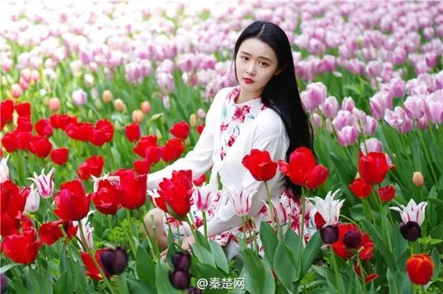 湖北第一美女居然在十堰快看看她是谁