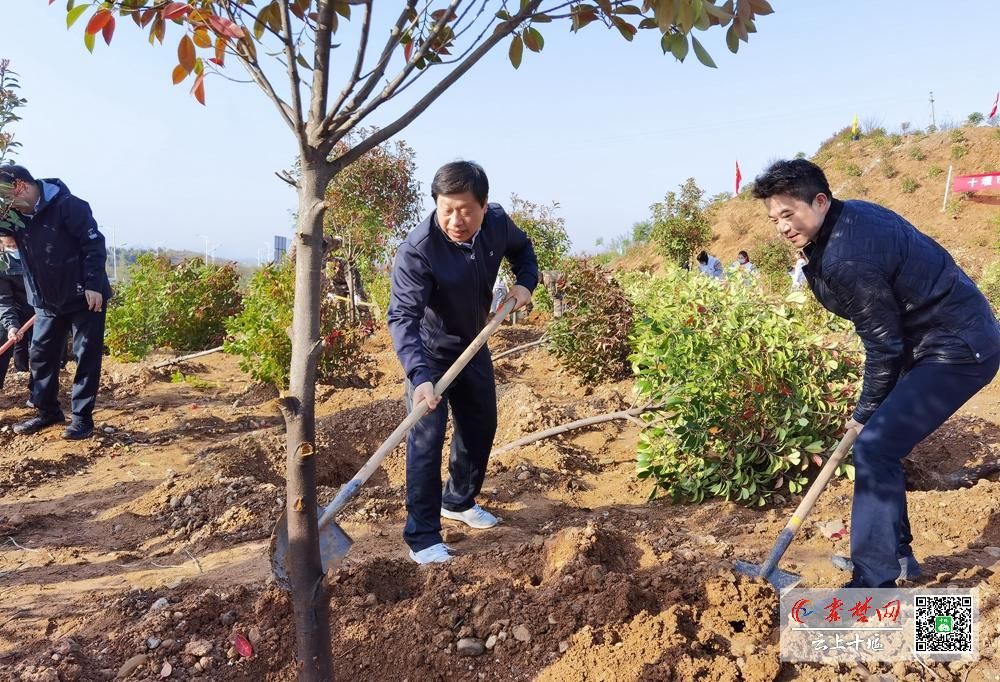 十堰2021年春季集中義務植樹活動啟動