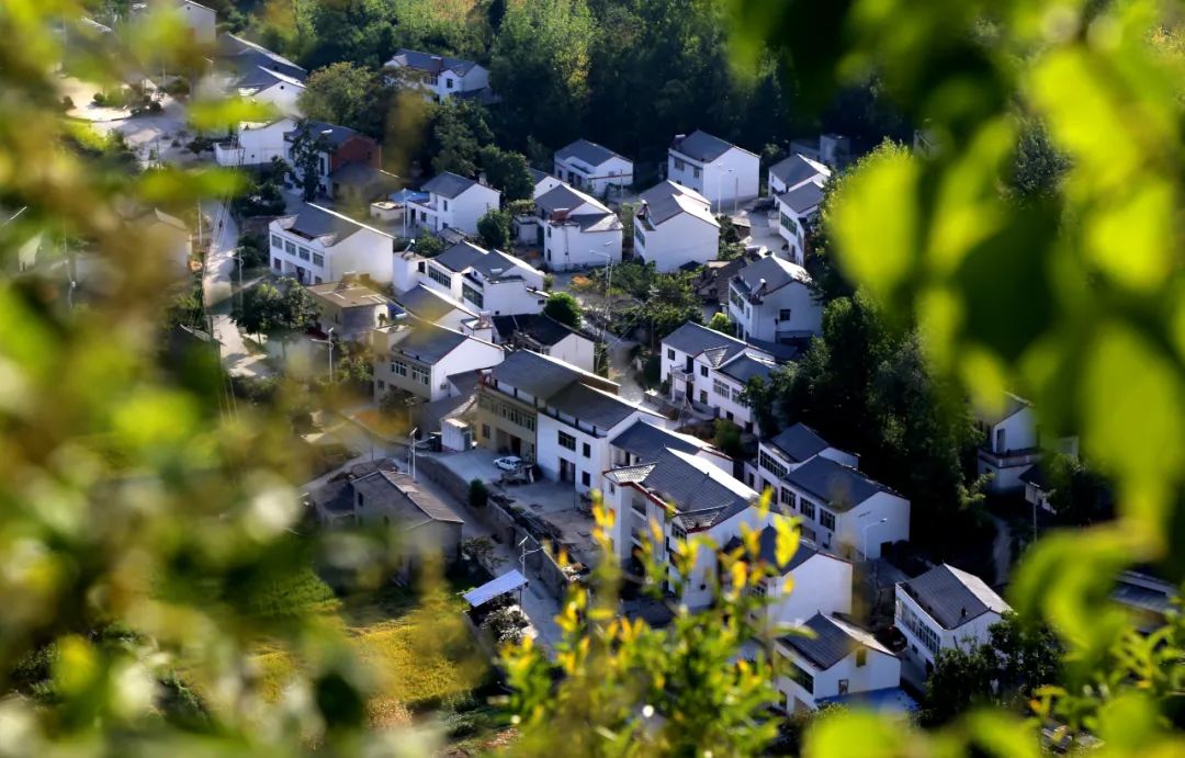 郧阳这份国家级绿色名片亮眼