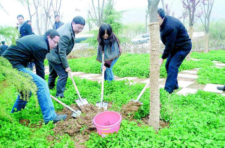 得胜镇：全民动手植树造林