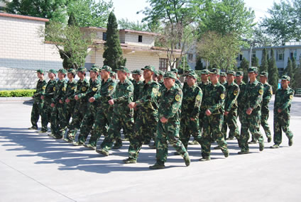 柳林乡：加强民兵组织训练 发挥民兵基层作用