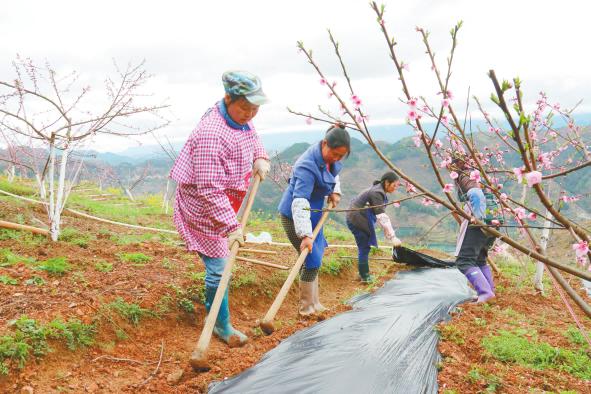 ?溢水鎮(zhèn)：組織安置點(diǎn)貧困戶就近務(wù)工