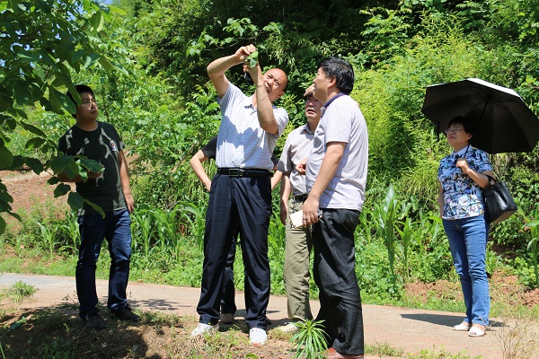 竹坪鄉(xiāng)集中精力沖刺精準扶貧整改