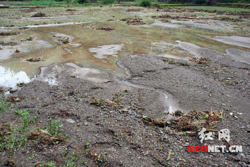 縣領導指導秦古鎮(zhèn)防汛救災和綜治維穩(wěn)