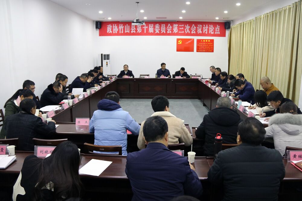 陈建平参加县政协第二委员组分组讨论