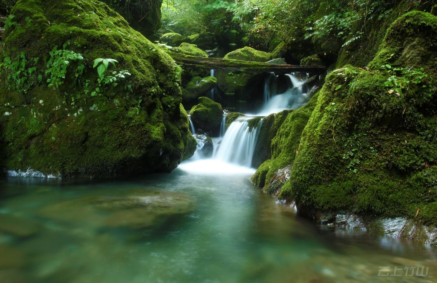 竹山柳林乡·绿源-王素冰-摄