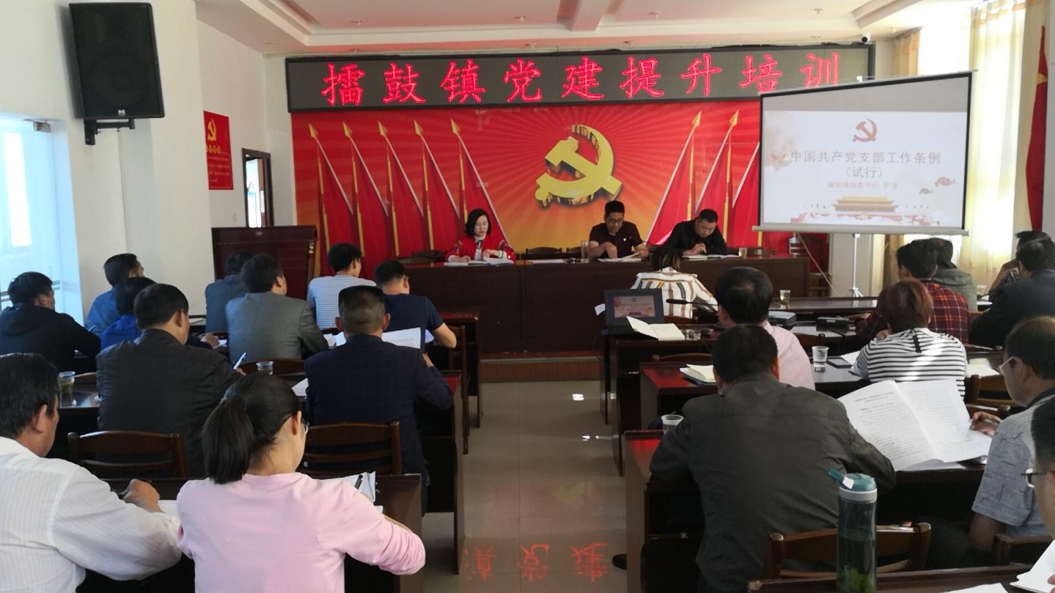 擂鼓镇：以培训促提升 抓党建提质效