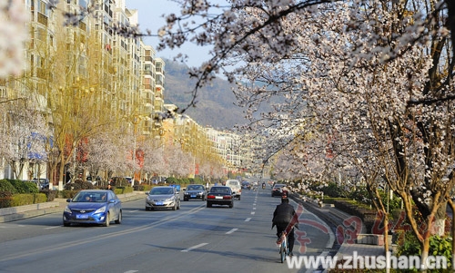 三月俏 春意闹 来欣赏一组春花烂漫的美图吧