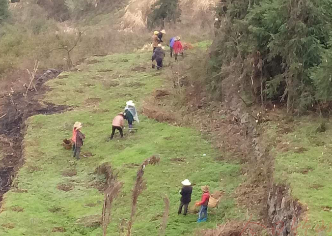 大庙乡打响精准灭荒攻坚战