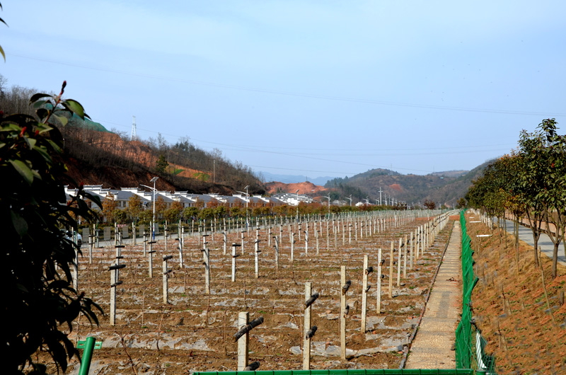 产业与新居两相宜