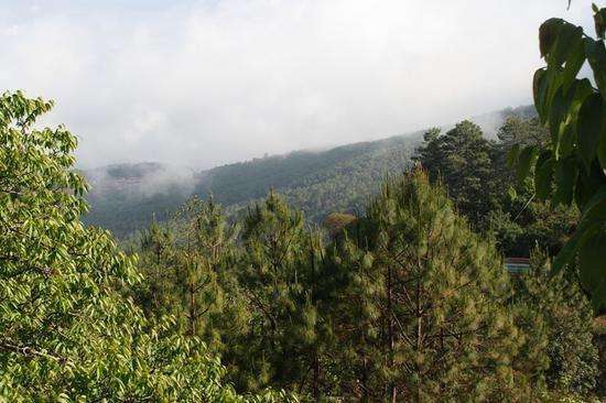 麻家渡：打好“精准灭荒”攻坚战 