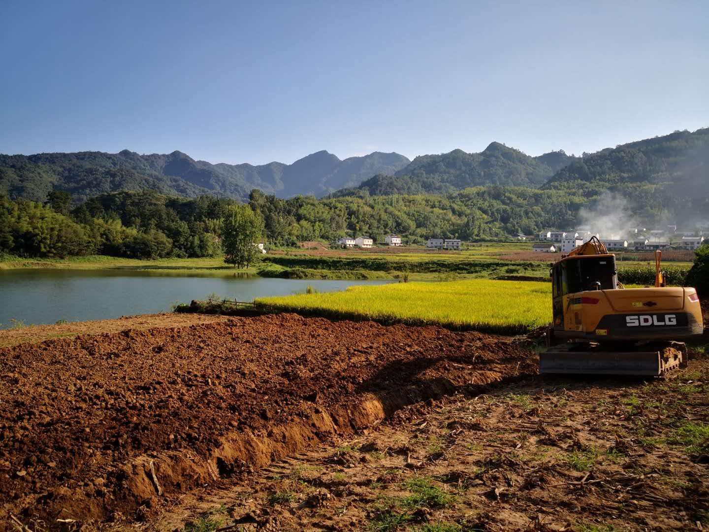 文峰乡新建茶园势头强劲