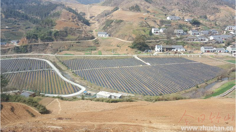 宝丰镇：车家沟里产业兴