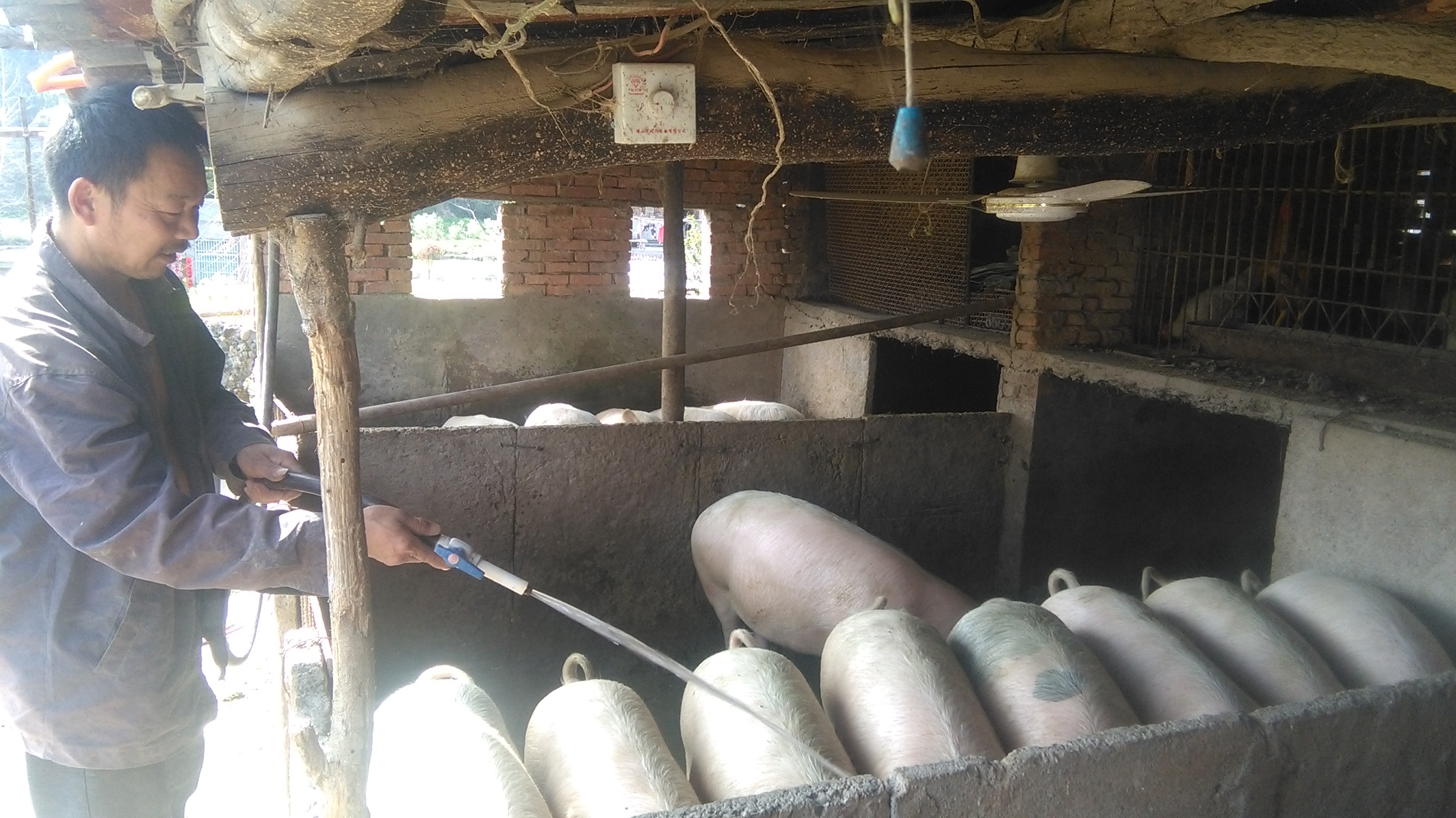 贫困户张光玉：向小康线奔跑