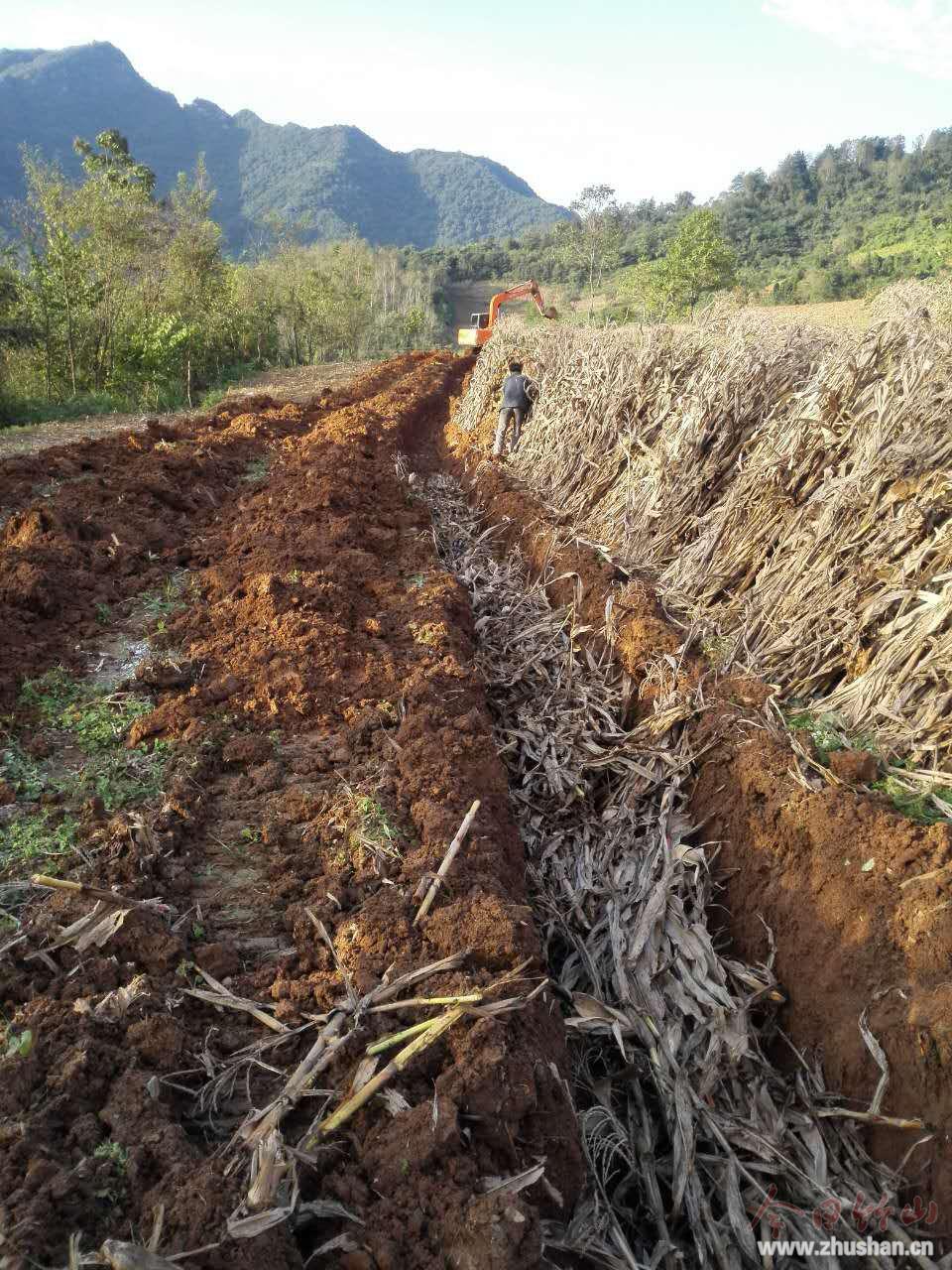 文峰乡：播种致富“金叶子”