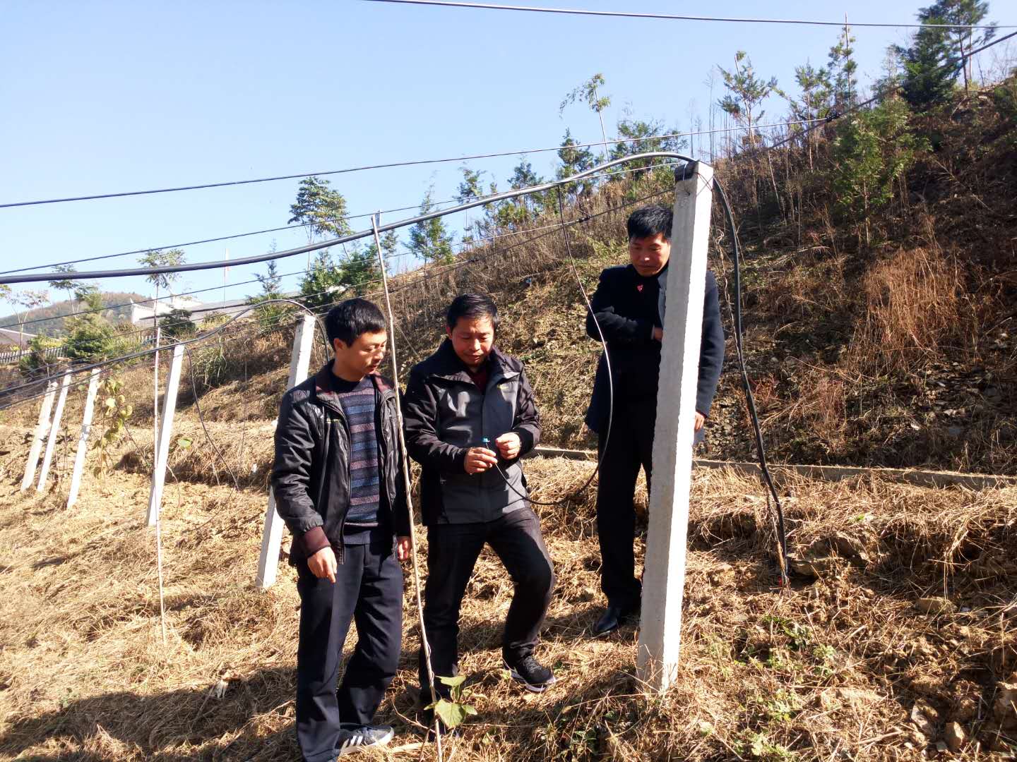 官渡镇：打造蒲溪亮点 聚力脱贫攻坚