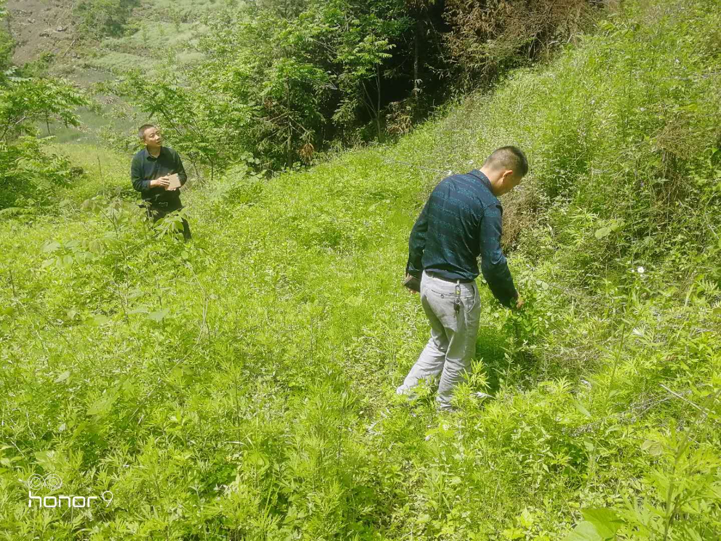 大庙乡：三大举措巩固精准灭荒造林成果