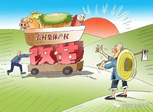 政策利好！土地承包期再延30年政策抓緊制定