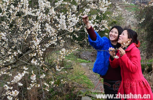 春暖花开点缀“五城联创”喜人成果