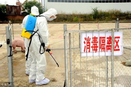 擂鼓镇实施“四严”扎实开展非洲猪瘟防控