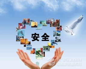 麻家渡镇：开展入户大走访活动