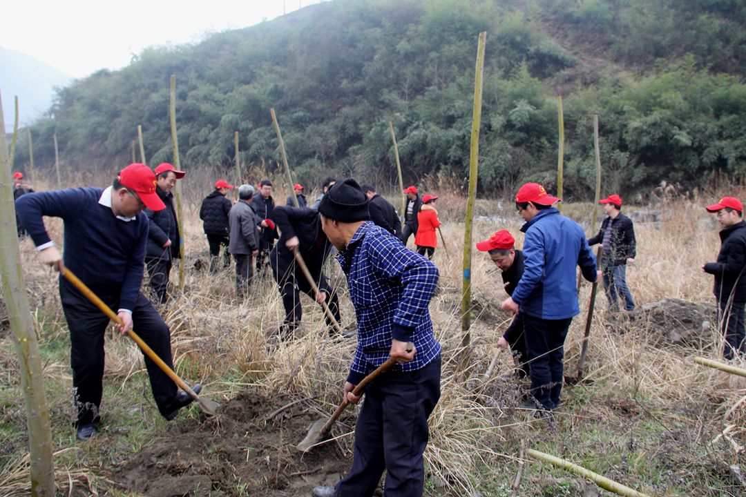 得胜镇：掀起春季营林生产高潮
