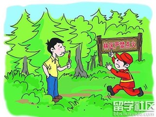 双台乡加大今冬明春护林防火管护力度