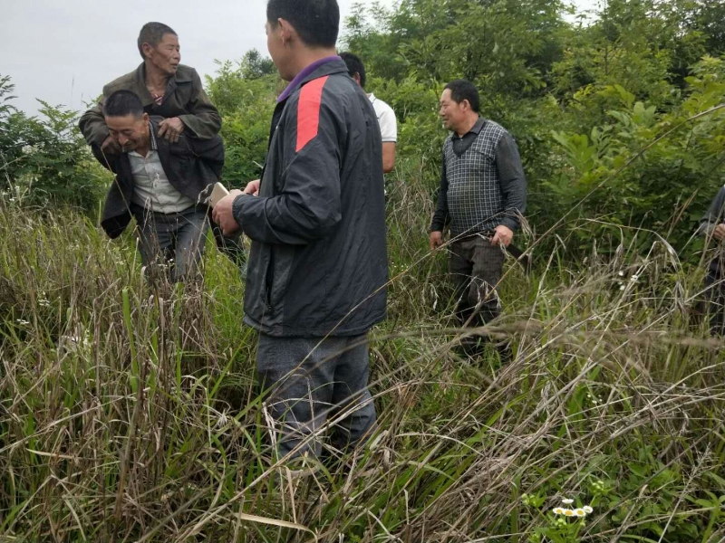 竹坪乡77岁老汉晕倒山中 干群合力施救