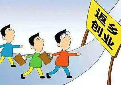 好消息!省级返乡创业示范县可获百万奖励