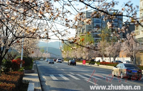 春花烂漫映新城