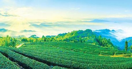 代表委员畅谈抓落实：乡村振兴 小康成色更足