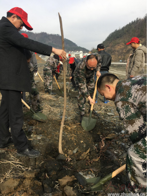 大庙乡：开展义务植树，扮靓绿色家园