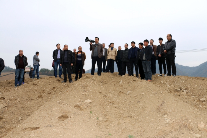 竹坪乡召开茶园点播现场会 