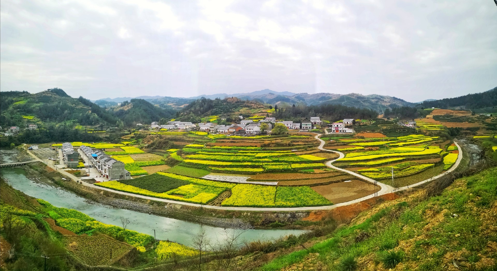 美丽乡村 花海如潮