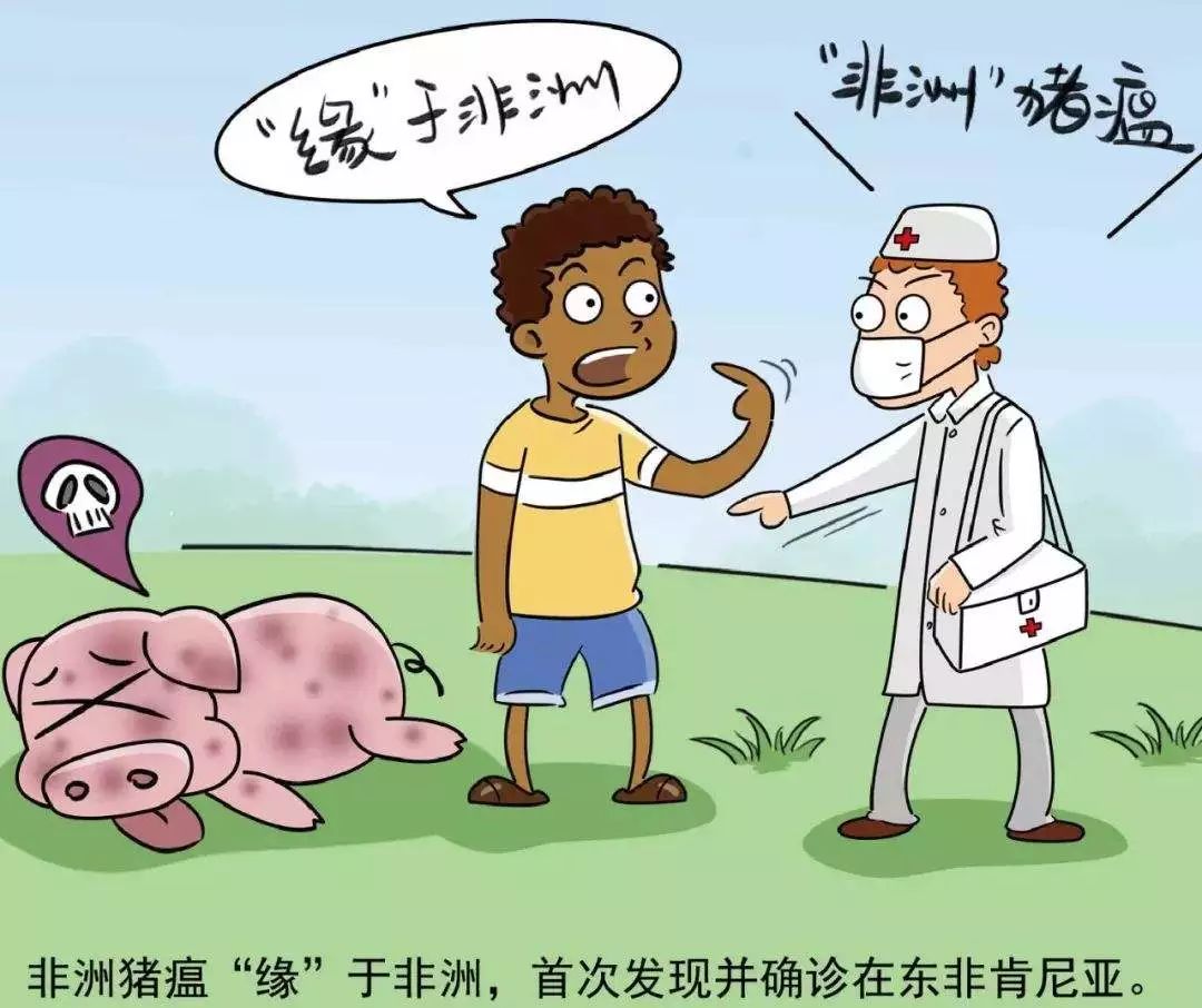 最新!三全水餃被曝檢出非洲豬瘟病毒!還有金鑼、科迪等