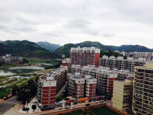 一片真情暖桑榆