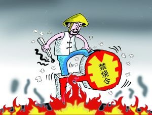 官渡镇多项举措抓秸秆禁烧