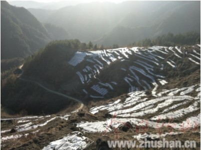 大庙乡：中科院专家前来大庙调研