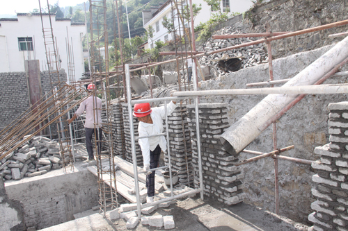 柳林乡：精准扶贫项目“遍地开花”