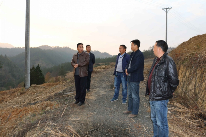 竹坪乡：做强茶叶产业 建设钟秀茶乡 