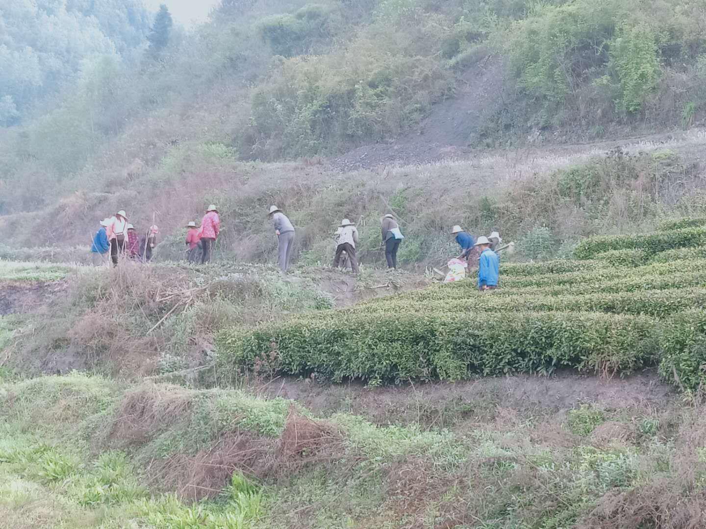 得胜镇财政所扎实做好耕地地力保护补贴突出问题专项整治