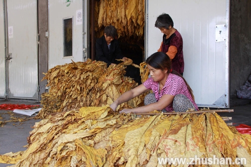 擂鼓镇农村留守妇女家门口打工  　　