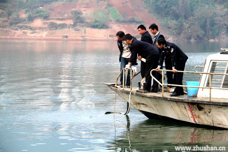 皮卡意外落水 警民合力相助