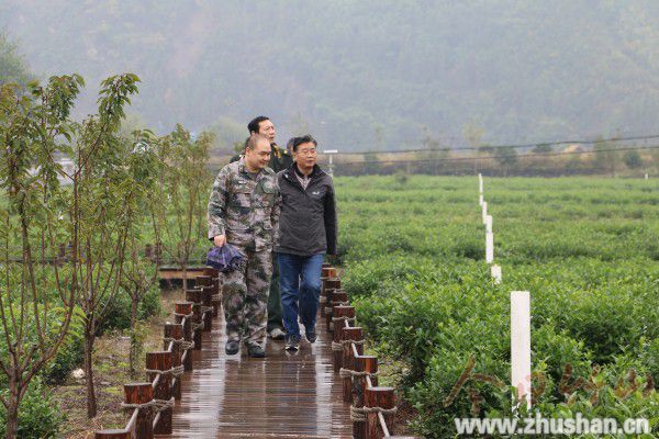 市人大督导竹坪重点工作