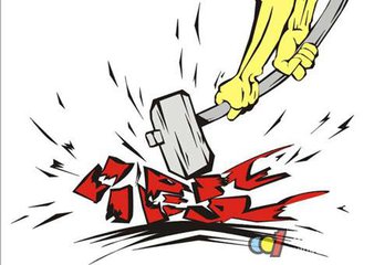 顾想平代表：严打农村市场假冒伪劣产品