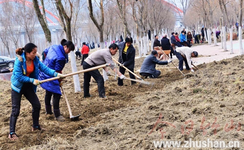 堵河青年林绿化改造 将新栽景观植物17万株