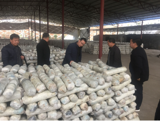 竹山督查“大棚房”问题专项清理整治整改工作