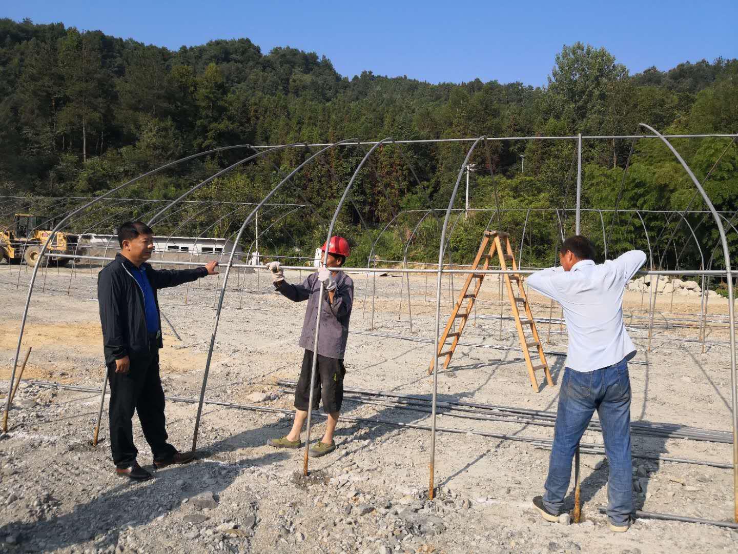 文峰乡发展脱贫产业出新招